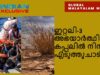 ഇറ്റലി3അഭയാർത്ഥികൾകപ്പലിൽനിന്ന് എടുത്തുചാടി,