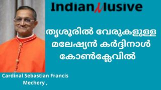 Cardinal Sebastian Francis, തൃശൂരിൽ വേരുകളുള്ള     മലേഷ്യൻ കർദ്ദിനാൾ,  കോൺക്ലേവിൽ ,